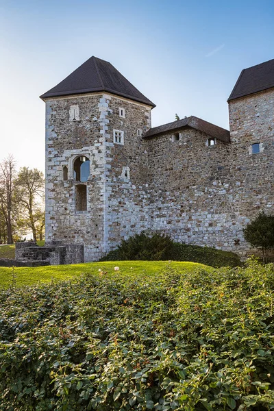 Paredes Castelo Liubliana Famosa Vista Histórica Capital Eslovénia — Fotografia de Stock