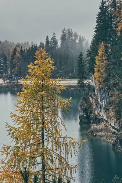 Arbres Colorés Eaux Émeraudes Lago Braies Automne — Photo