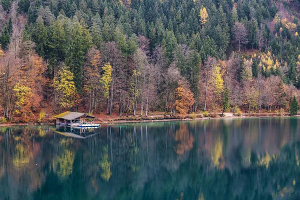 巴伐利亚的Alpsee湖 秋天映衬着五彩缤纷的树木 — 图库照片