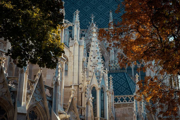 Fragment Beautiful Gothic Facade Votivkirche Church Surrounded Colorful Trees Autumn — Stock Photo, Image