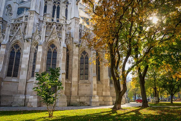 Colorful Autumn Trees Lit Sun Front Gothic Facade Famous Votivkirche — ストック写真