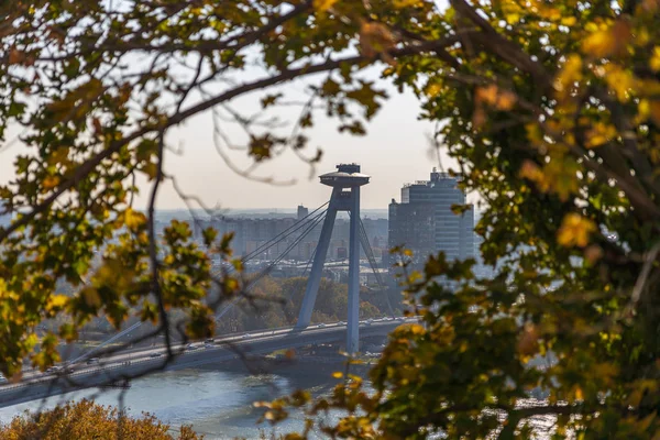 布拉迪斯拉发 斯洛伐克 2019年10月 Ufo桥从布拉迪斯拉发城堡的景观 秋季由树枝构成 — 图库照片