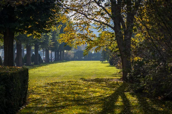 Viena Parque Cidade Início Outono Com Sol Brilhando Através Das — Fotografia de Stock