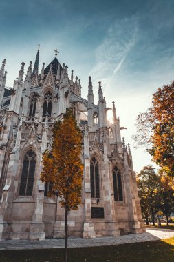 Avusturya 'nın Viyana kentindeki ünlü Votivkirche kilisesinin gotik cephesinin önünde güneşin aydınlattığı renkli sonbahar ağaçları.