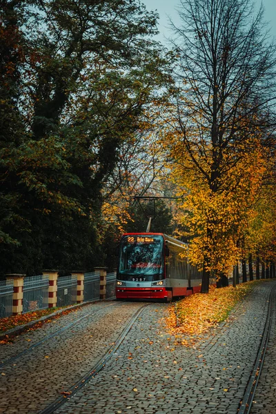 Prag Tschechische Republik Oktober 2019 Rote Straßenbahn Und Bunte Bäume — Stockfoto