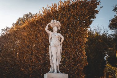 VIENNA, AUSTRIA - Ekim 2019: Sonbahar mevsiminde Schonbrunn saray bahçesinde sonbahar yeşilliği