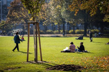 VIENNA, AUSTRIA - Ekim 2019: Güneşli bir günde insanlar parkta bir çimenlikte dinleniyor