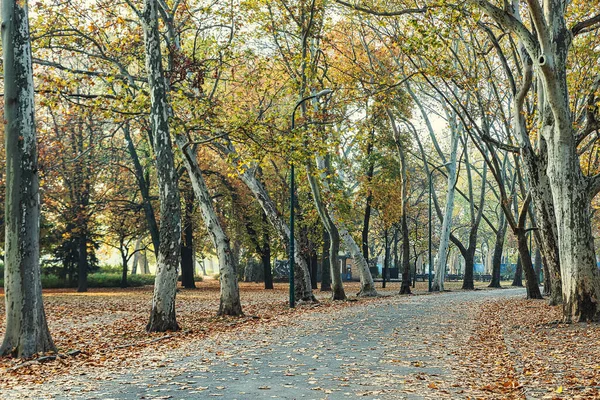 Passeio Parque Central Cidade Budapeste Temporada Outono — Fotografia de Stock