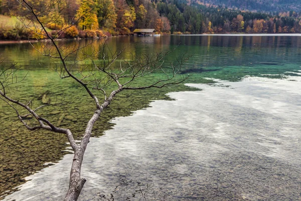湖水清澈 湖水清澈 秋天色彩斑斓 — 图库照片