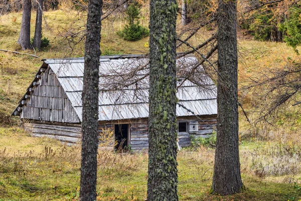 斯洛维尼亚阿尔卑斯山的旧木屋被五彩缤纷的树木环绕 — 图库照片