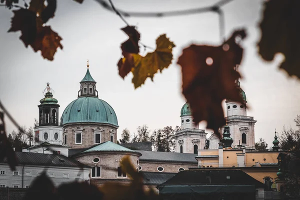Зальцбургский Собор Видом Историческое Здание Обрамленное Осенней Листвой Австрия Стоковая Картинка