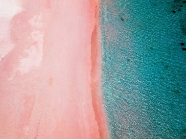 Komodo Ulusal Parkı, Flores, Endonezya 'da çarpıcı pembe plaj.  