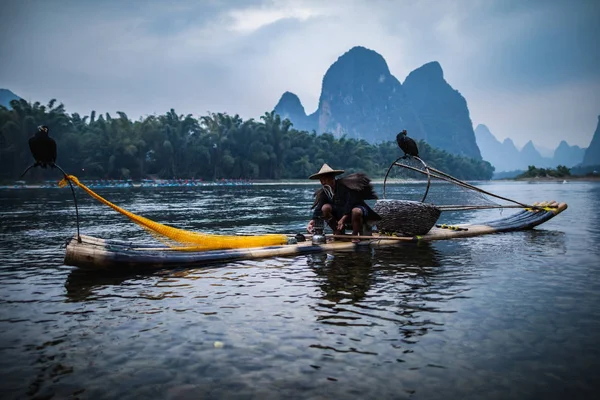 Guilin City China Novembro 2019 Pescador Tradicional Cormorão — Fotografia de Stock