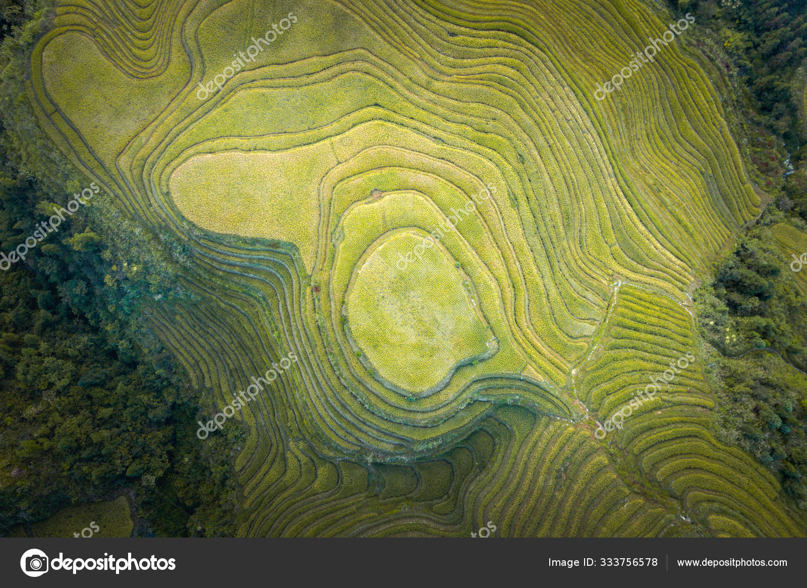 Longsheng Rice Terraces Also Called Longji Rice Terraces Located