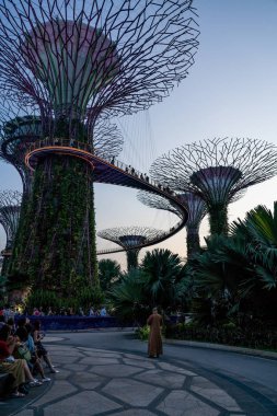 Evening view of beautiful Gardens by the Bay, Singapore