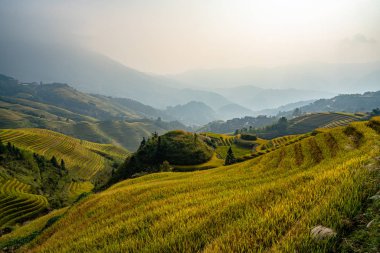 local cultures of the Longji rice terraces from Guilin area China