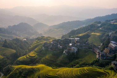 Çin, Guilin 'deki Longsheng County' de pirinç tarlaları var.