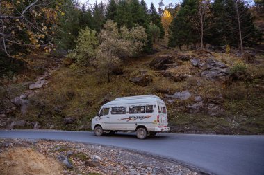 Ormanda küçük bir araba.