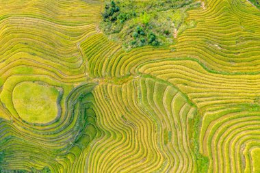 Çin, Guilin 'deki dağlarla ve teraslarla muhteşem bir manzara.
