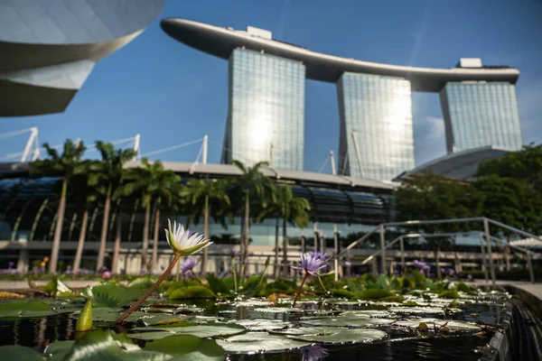 Kis Vízzel Virágok Marina Bay Sands Felhőkarcoló Háttér Szingapúrban Ázsiában — Stock Fotó
