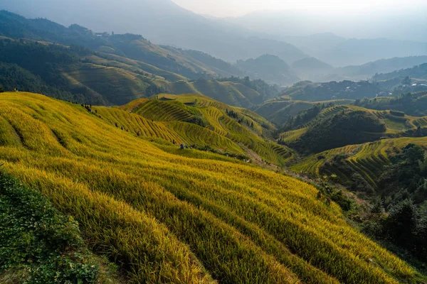 amazing view to local cultures of the rice terraces from South China