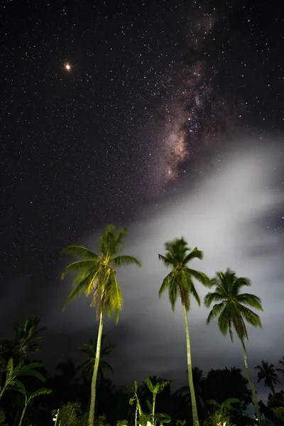 Wysokie Palmy Gwiazdami Nocnymi Południu Nusa Penida Indonezja — Zdjęcie stockowe
