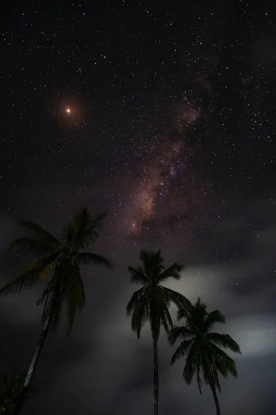Wysokie Palmy Gwiazdami Nocnymi Południu Nusa Penida Indonezja — Zdjęcie stockowe