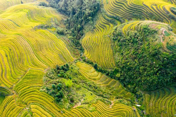 amazing landscape with mountains and terraces rice fields in Guilin, China