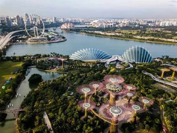 Arial Kilátás Egyik Erősen Urbanizált Város Állam Szingapúr Délkelet Ázsiában — Stock Fotó