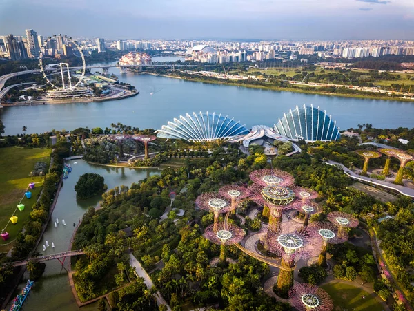 Panoráma Kilátás Szingapúr Város Városára Supertree Grove Cloud Forest Flower — Stock Fotó