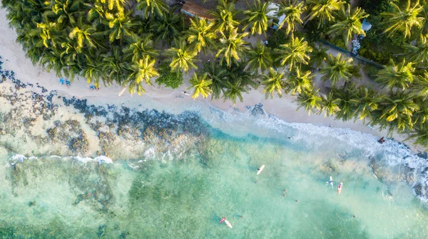 Letecký Pohled Tropickou Pláž Palmami Modrou Oblohou — Stock fotografie