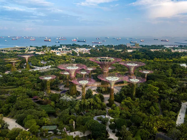 Panoráma Kilátás Szingapúr Város Városára Supertree Grove Cloud Forest Flower — Stock Fotó