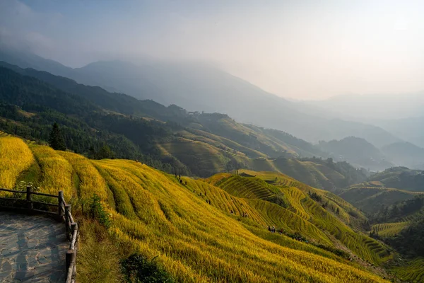 amazing view to local cultures of the rice terraces from South China