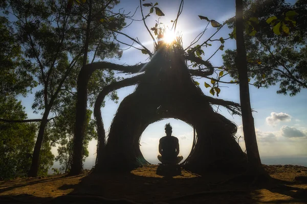 Meditation Tree Peaceful Mountain Top Central Java Indonesia — Stock Photo, Image