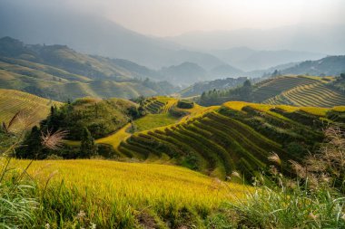 beautiful view of terraced rice field in Longji Guilin area China
