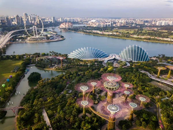 Panoráma Kilátás Szingapúr Város Városára Supertree Grove Cloud Forest Flower — Stock Fotó