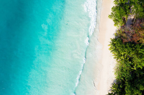 Empty ocean beach drone top view, Turquoise water, Praslin Island, Seychelles