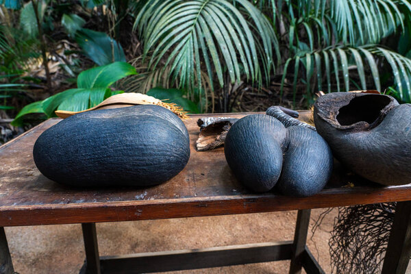 Coco del mar крупнейшее семя в мире на Сейшельских островах
 