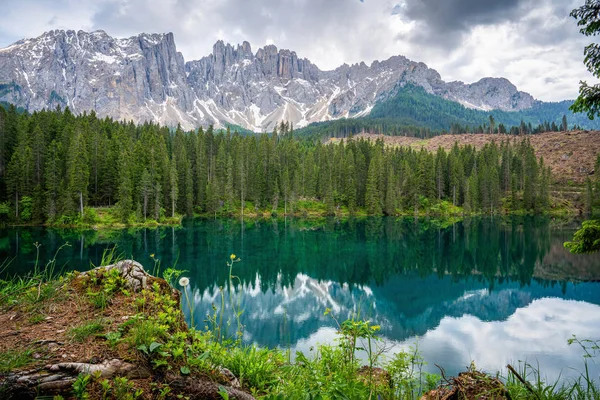 南チロル イタリアのドロマイトの雄大な小さな高山湖Carezzaの結晶水で素晴らしい密度と緑の森 — ストック写真