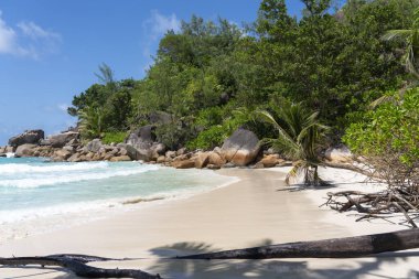 Anse georgette Beach'te praslin Adası Seyşel Adaları 