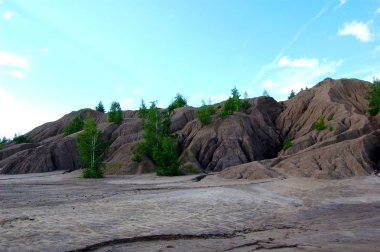 kum tepeleri ağaçta