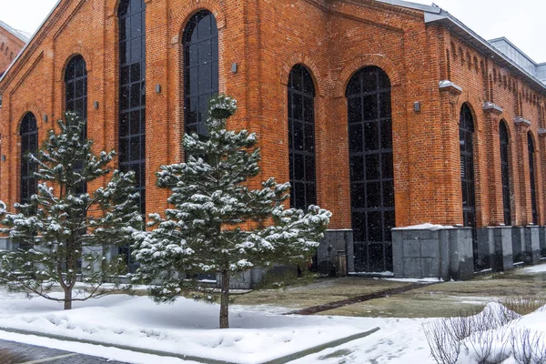 雪中的松树对砖砌的建筑 — 图库照片