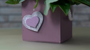 Beyaz, gül ve menekşe renkli çiçekler çok yakın bakış. Kamera hareketi eğimli. Onları gül, eustomas, sümbül, Şakayık, brunia, Düğünçiçeği arasında skimmia ve okaliptüs yaprakları.