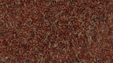 Dönüş tablo çiğ kırmızı pirinç üzerine dönen yakın çekim. En baştan görüntülemek.