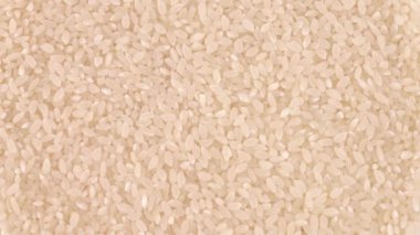 Tam çerçeve arka plan üzerinde çiğ beyaz pirinç dönen tablo açın. Loopable. Makroyu kapatın. Yukarıda/ek yükü göster.