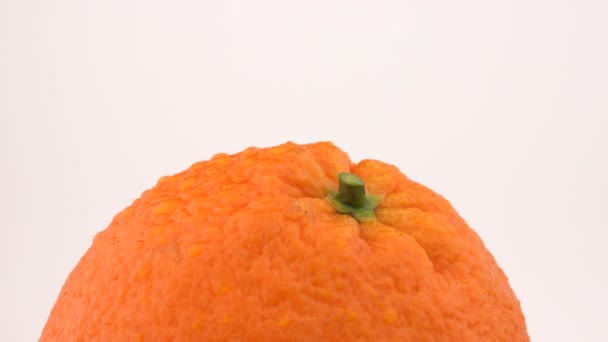 Oranje vruchten op roteren schakelen tabel. Geïsoleerd op een witte achtergrond. Loopbare. Macro close-up. Gedeeltelijke bovenaanzicht. — Stockvideo