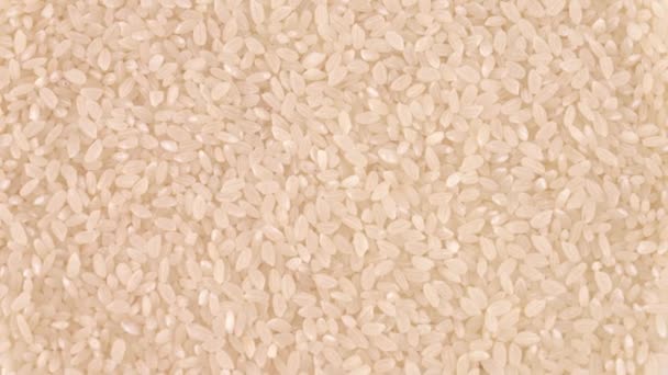 Volledige frame achtergrond van rauwe witte rijst draaien op draai tabel. Loopbare. Macro close-up. Uitzicht vanaf boven/overhead. — Stockvideo