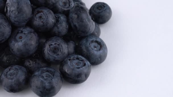 Half frame macro of fresh blueberries pile slowly rotates on a white background. Isolated. Macro. — Stock Video