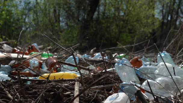 Sinekler Çöp Yığını Uçmak Plastik Şişeler Diğer Çöp Yere — Stok video