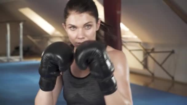 Belle Femme Brune Boxe Caméra Faire Des Coups Des Uppercuts — Video